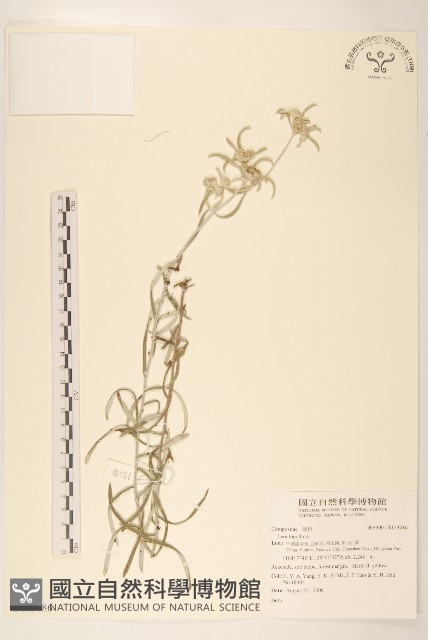 登錄號:S123486藏品圖，第1張