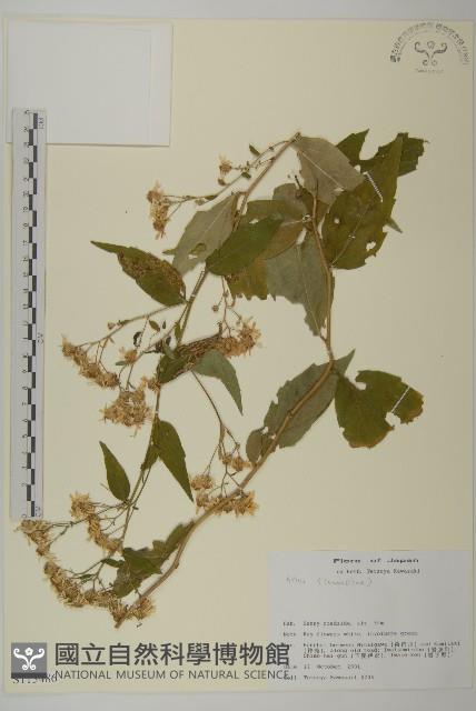 登錄號:S113486藏品圖，第1張