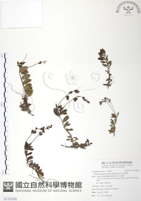 玉山水苦賈藏品圖，第1張