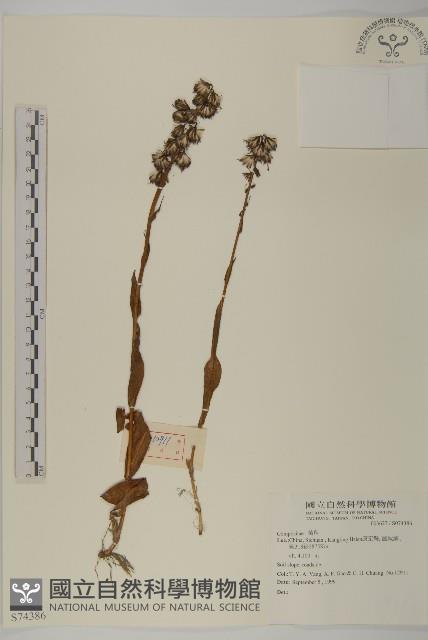 登錄號:S074386藏品圖，第1張