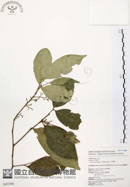 石苓舅藏品圖，第1張