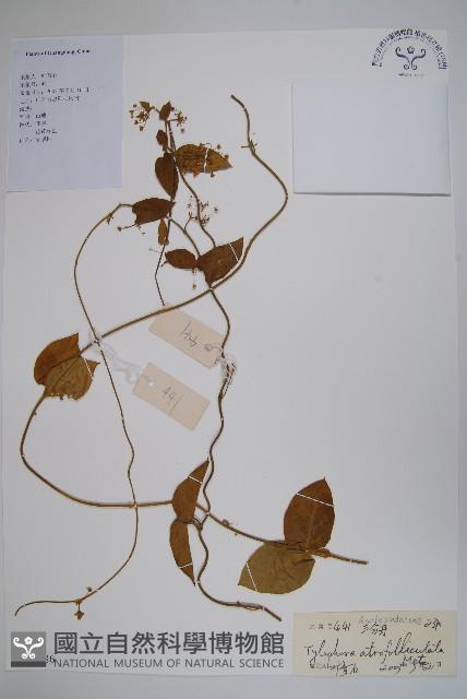 三分丹藏品圖，第1張