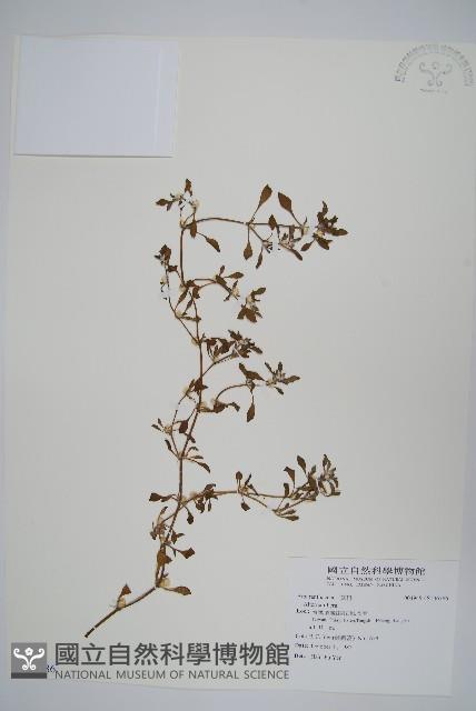 登錄號:S106586藏品圖，第1張