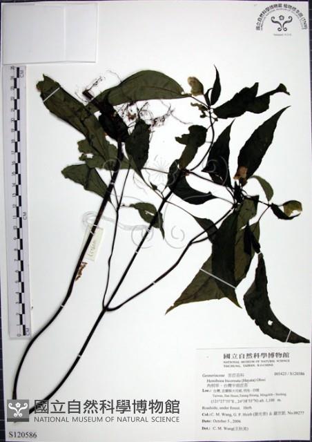 Accession Number:S120586 Collection Image