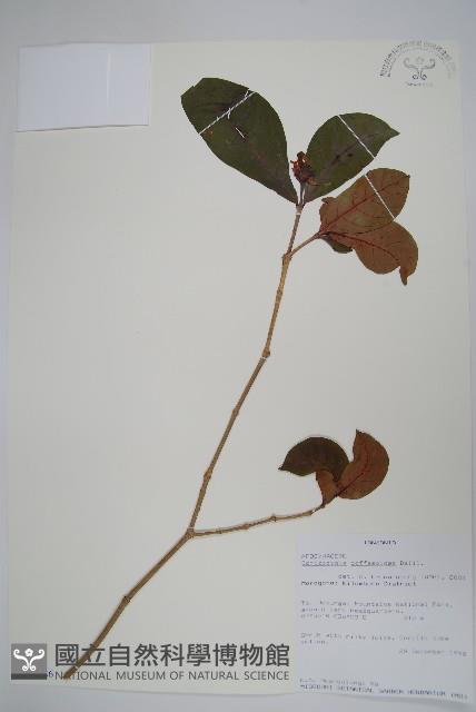 登錄號:S100586藏品圖，第1張