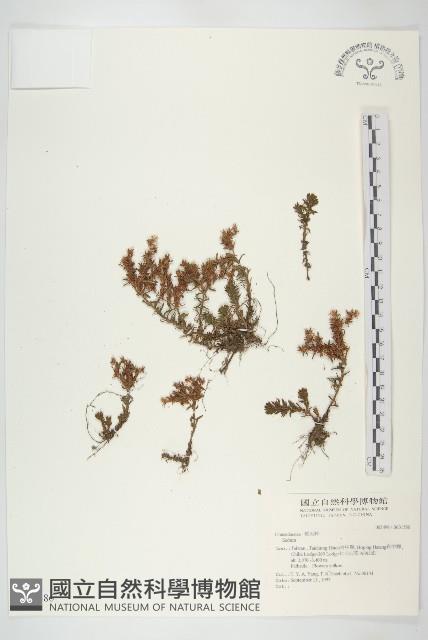 登錄號:S031586藏品圖，第1張