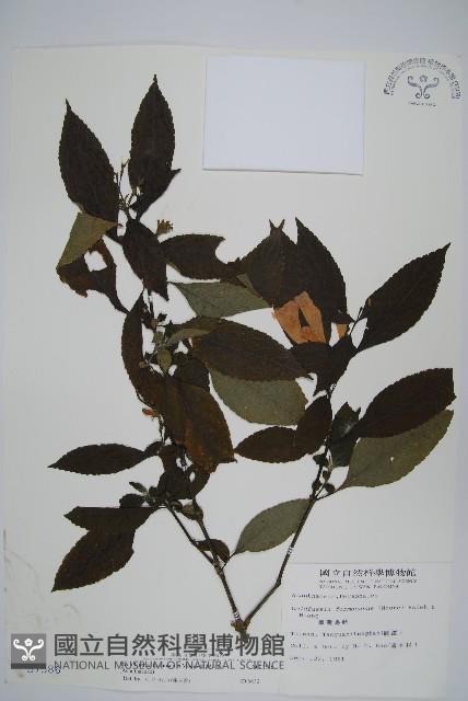 Accession Number:S007586 Collection Image, Figure 1, Total 2 Figures