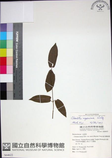 Accession Number:S064622 Collection Image, Figure 1, Total 2 Figures