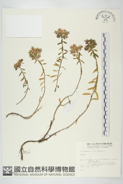 登錄號:S012022藏品圖，第1張