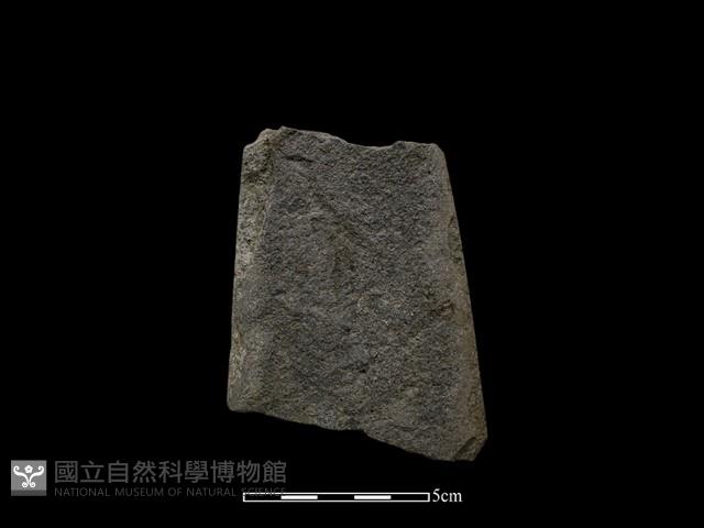 磨製斧鋤形器藏品圖，第1張