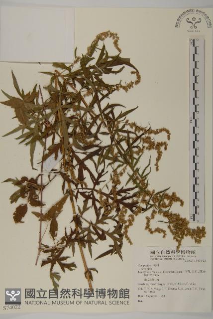 登錄號:S074022藏品圖，第1張