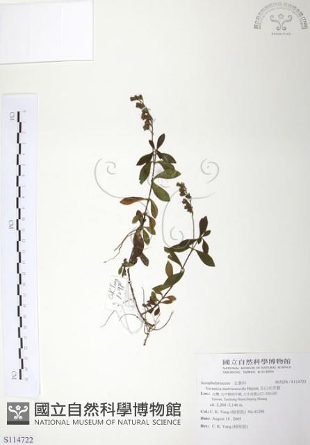 玉山水苦賈藏品圖，第1張