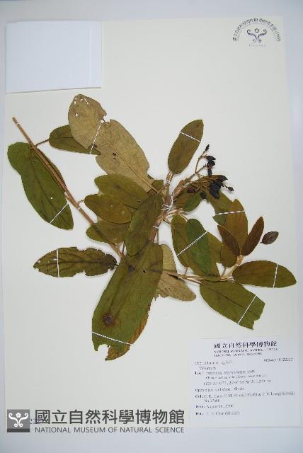 登錄號:S122222藏品圖，第1張