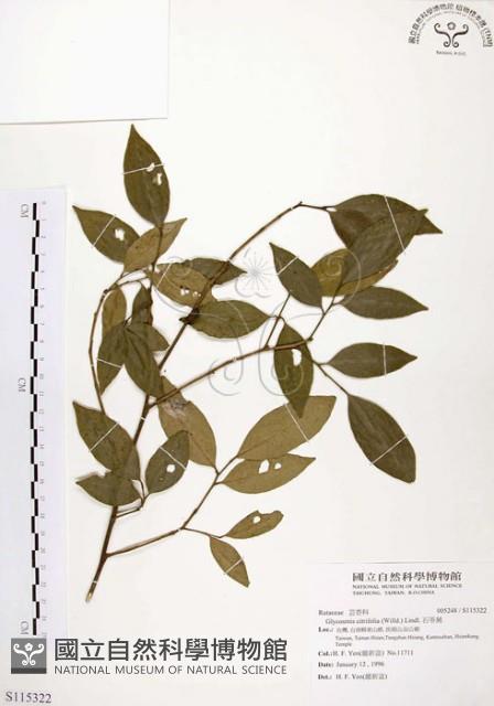 石苓舅藏品圖，第1張