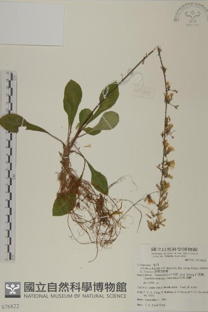 臺灣鬼督郵藏品圖，第1張