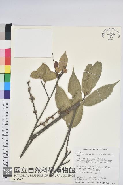 白校欑藏品圖，第1張