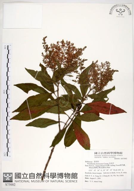 水金京藏品圖，第1張