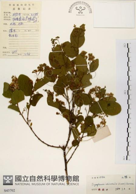 灰木藏品圖，第1張