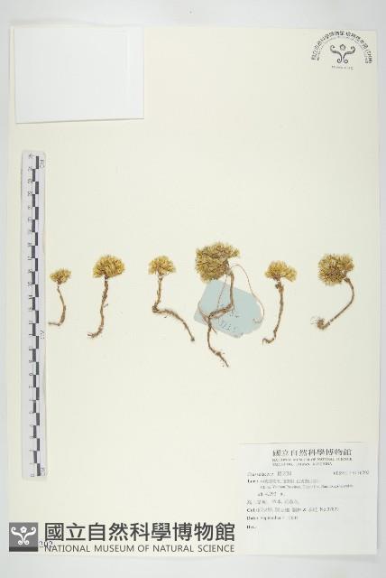 登錄號:S136202藏品圖，第1張