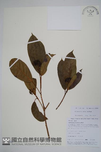 登錄號:S106402藏品圖，第1張