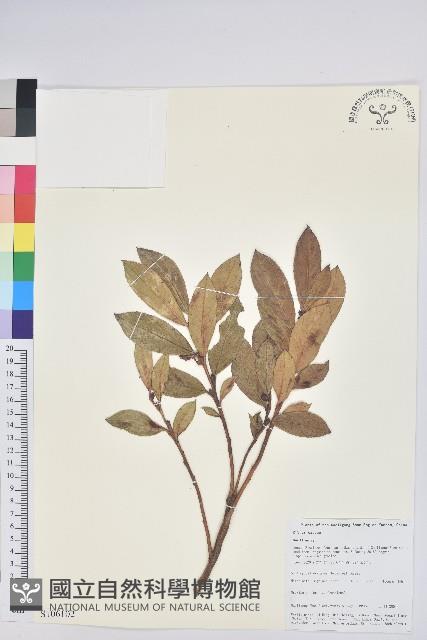 登錄號:S106102藏品圖，第1張