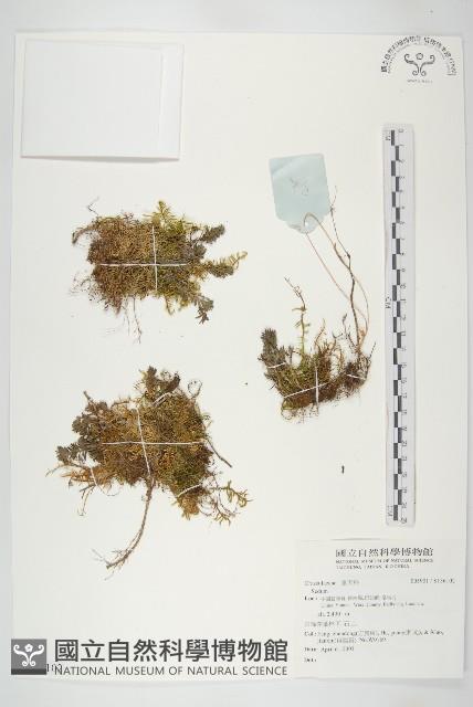 登錄號:S136102藏品圖，第1張