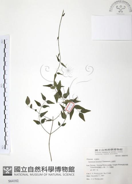 山素英藏品圖，第1張