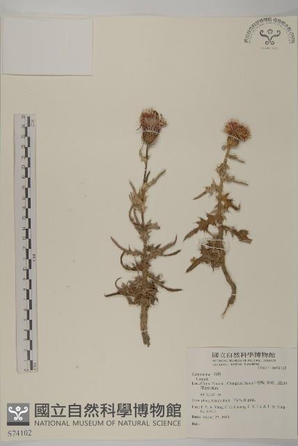 登錄號:S074102藏品圖，第1張