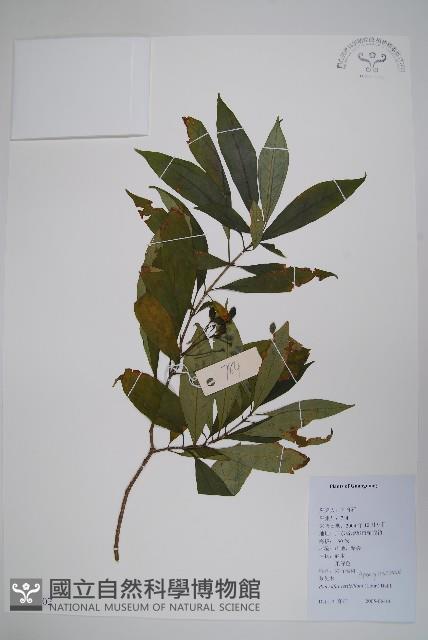 蘿芙木藏品圖，第1張