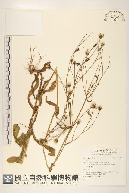 登錄號:S136502藏品圖，第1張