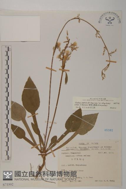 臺灣鬼督郵藏品圖，第1張