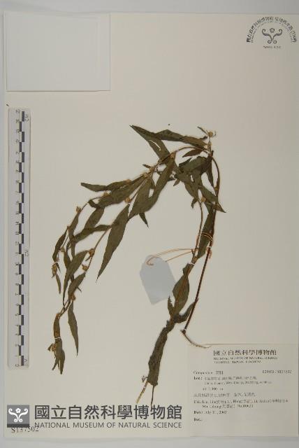 登錄號:S137502藏品圖，第1張