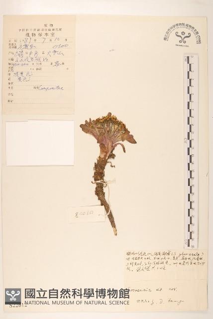 登錄號:S022612藏品圖，第1張