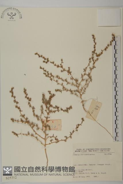 登錄號:S025712藏品圖，第1張