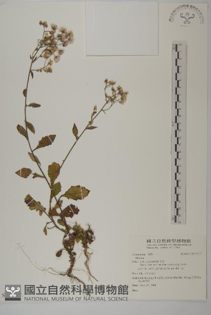 登錄號:S133712藏品圖，第1張