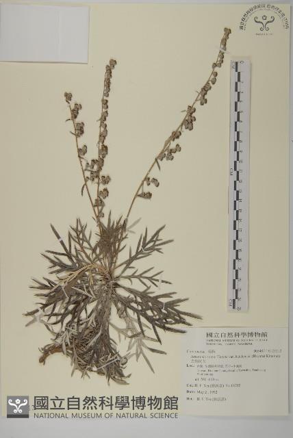 太魯閣艾藏品圖，第1張