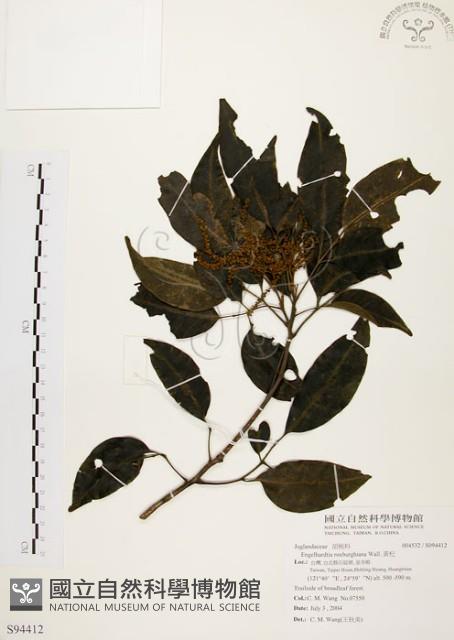 黃杞藏品圖，第1張