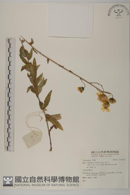 登錄號:S136112藏品圖，第1張