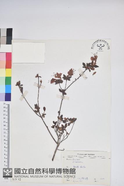 登錄號:S075112藏品圖，第1張