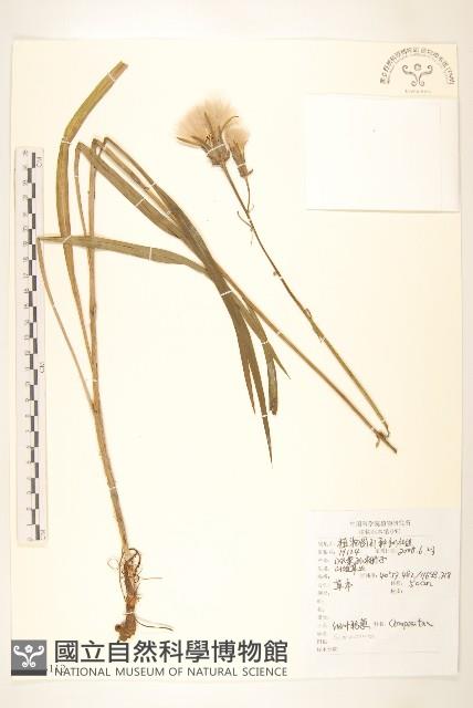 登錄號:S143112藏品圖，第1張