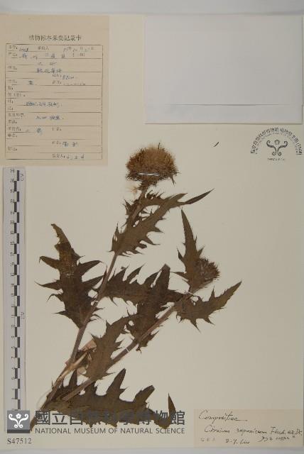 小薊藏品圖，第1張