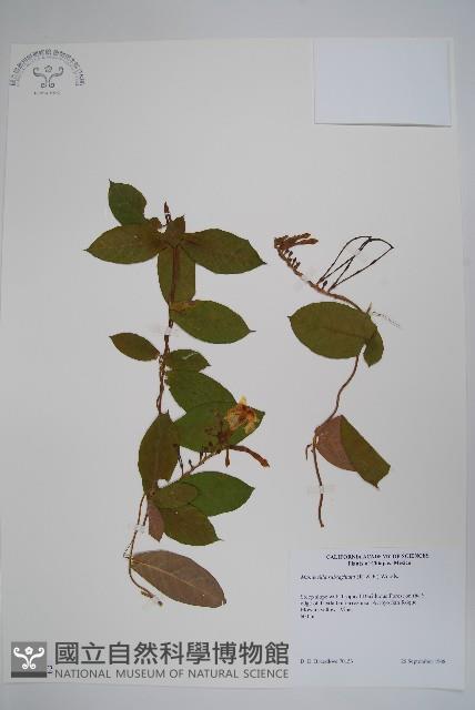 登錄號:S035152藏品圖，第1張