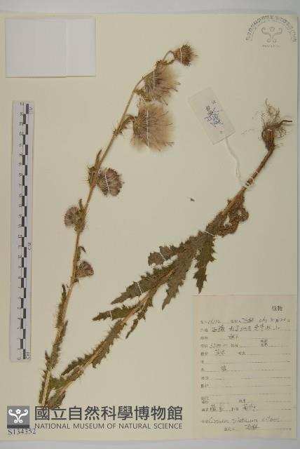 藏薊藏品圖，第1張