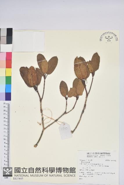 登錄號:S137692藏品圖，第1張