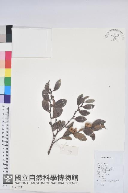 登錄號:S127092藏品圖，第1張