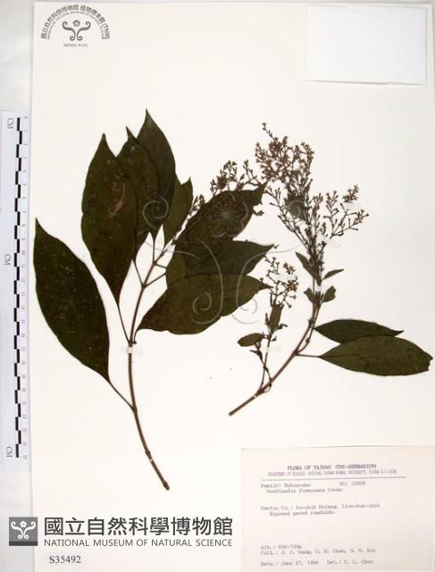 水金京藏品圖，第1張