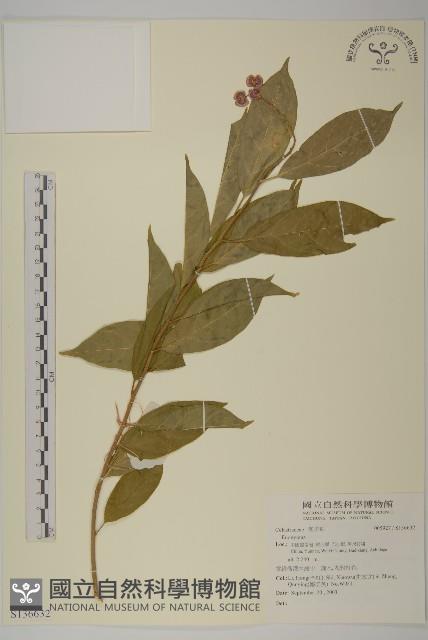 登錄號:S136632藏品圖，第1張