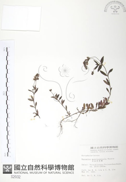 玉山水苦賈藏品圖，第1張