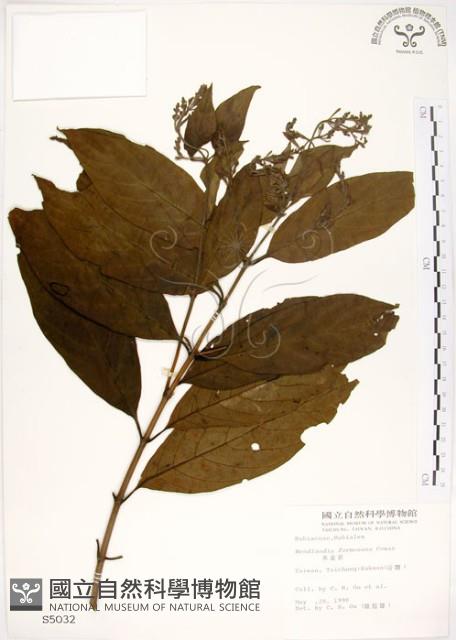 水金京藏品圖，第1張