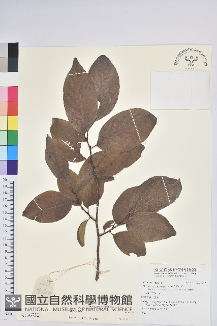 登錄號:S136732藏品圖，第1張